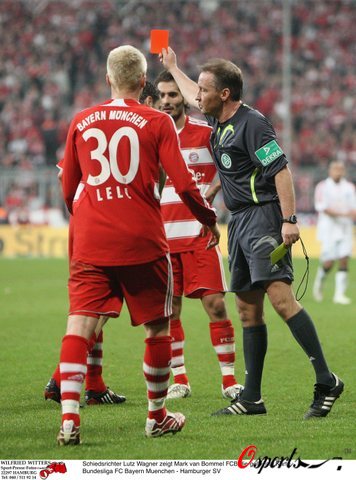 不仅展现了 不仅展现了