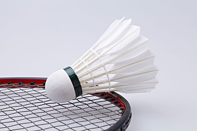 他并未因为 他并未因为